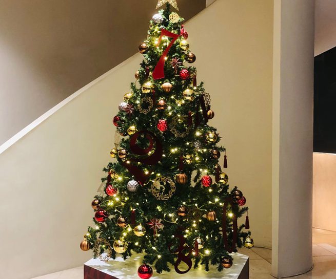 Frank Muller / Christmas Tree