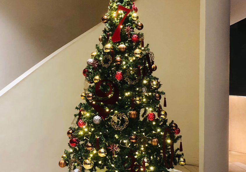 Frank Muller / Christmas Tree